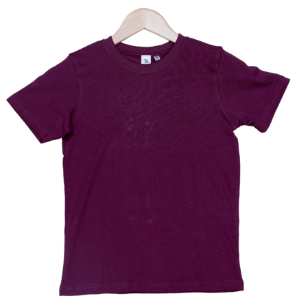 Kids maroon t shirts