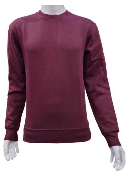 Purple Sweatshirt for Men