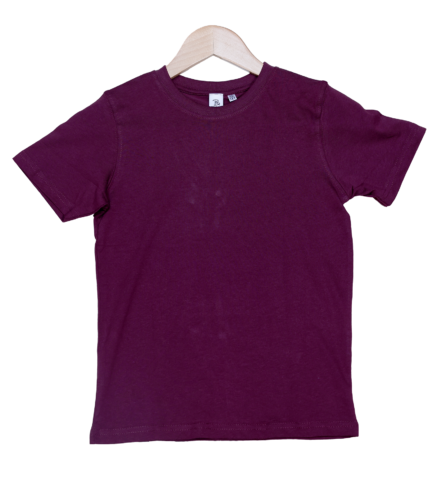 Kids Maroon T Shirts