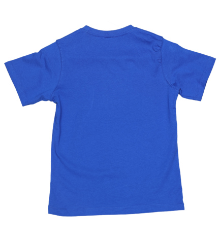 Kids Royal Blue T Shirts – 100% Cotton – Round Neck