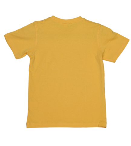 Kids Yellow T Shirts – 100% Cotton – Round Neck