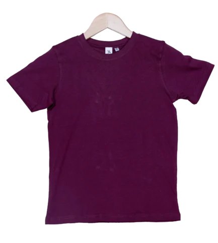 Kids Maroon T Shirts