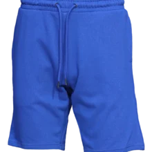 Royal Blue shorts for men