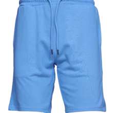 Sky Blue Shorts for Men